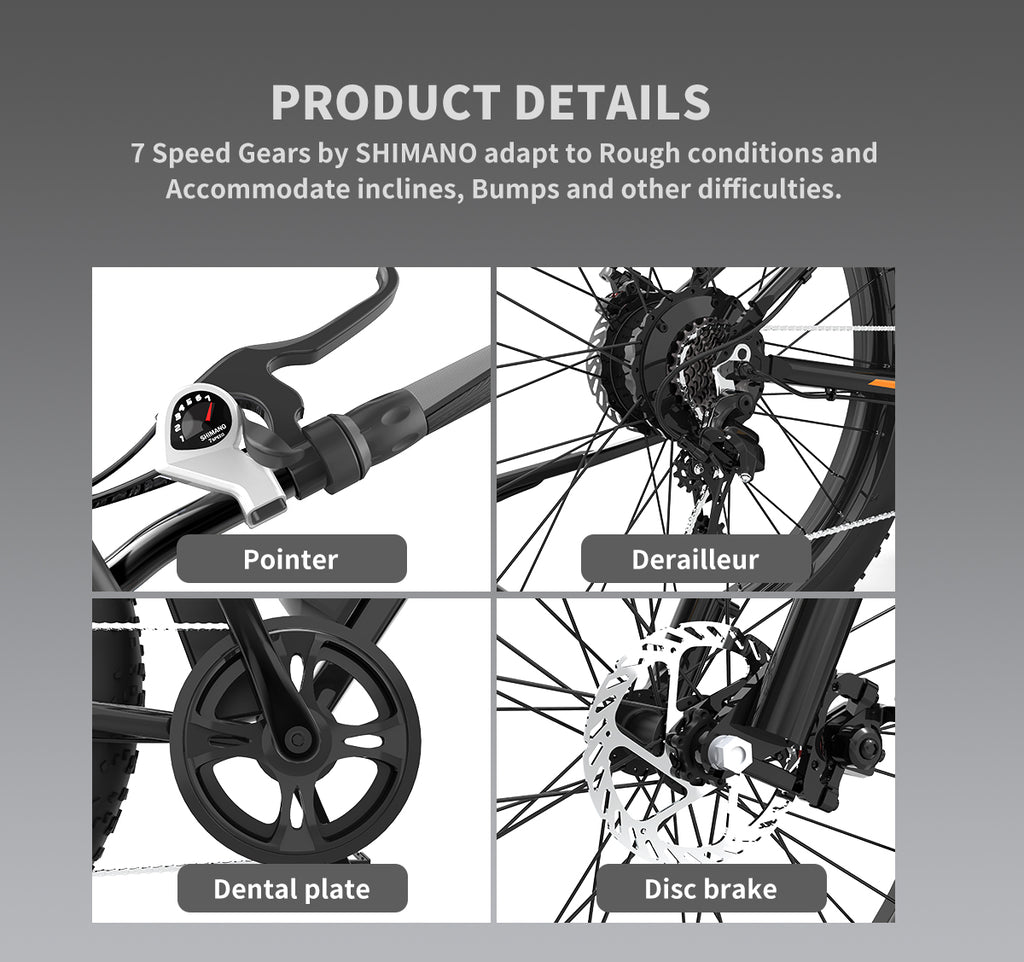 750W Electric Bike with Removable 48V 13Ah Li-Ion Battery L140525