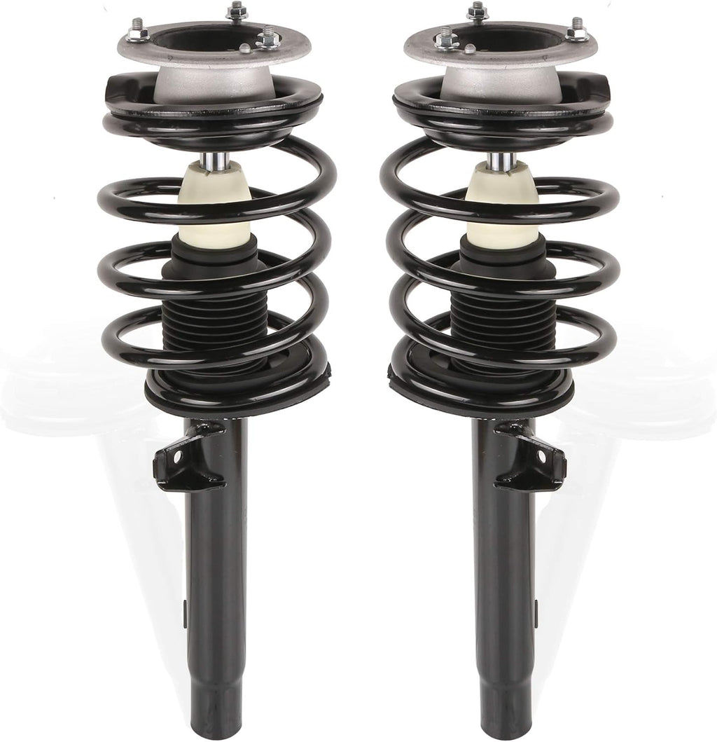 Front Complete Strut Assemblies (Set of 2) T941424