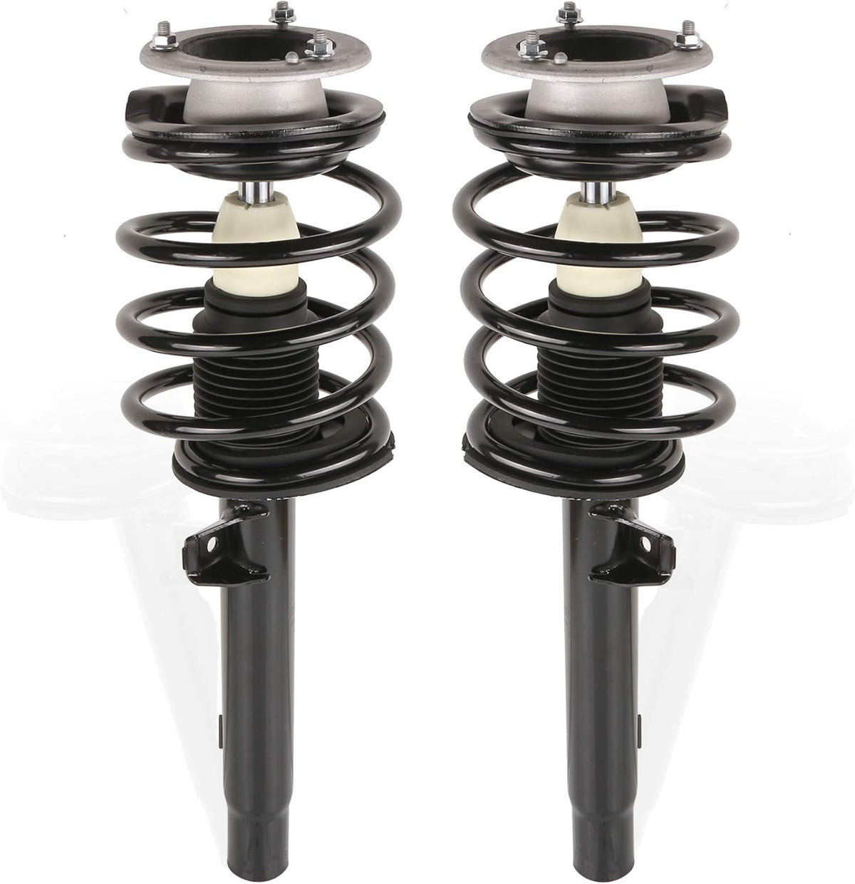 Front Complete Strut Assemblies (Set of 2) T941424