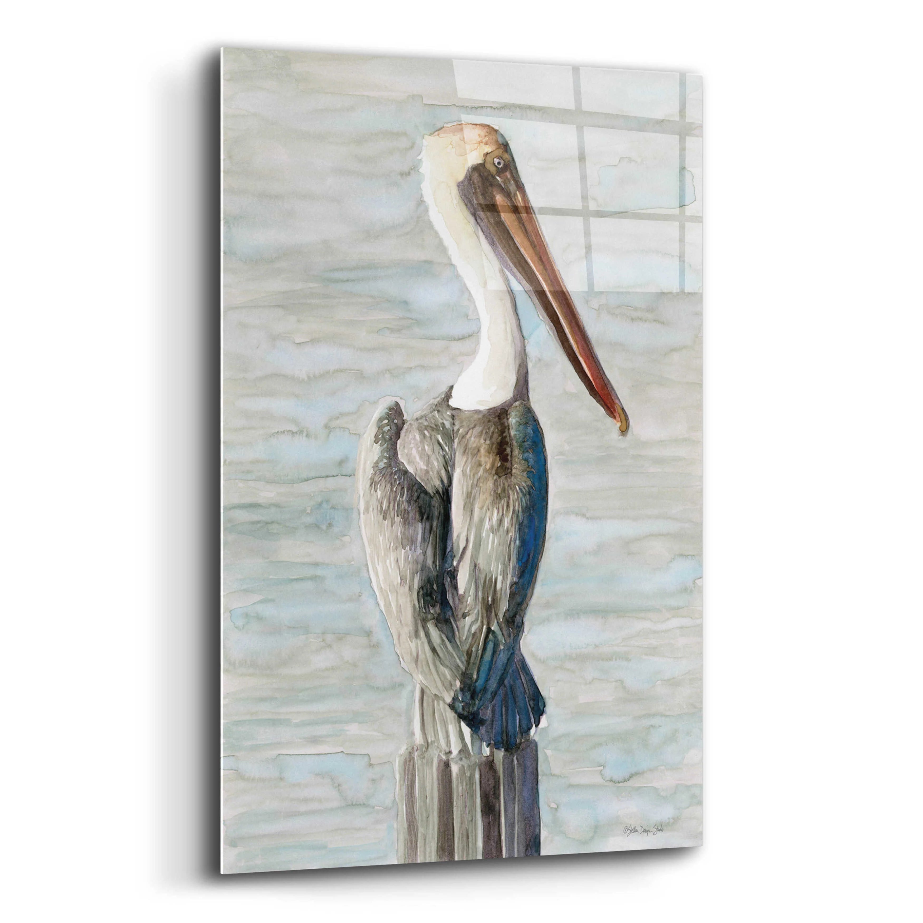 Brown Pelican Acrylic Glass Wall Art, 12"x16" F3325