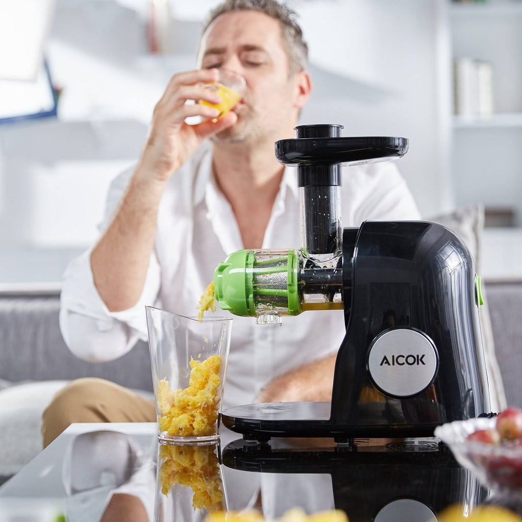 Cold Press Masticating Juicer I904