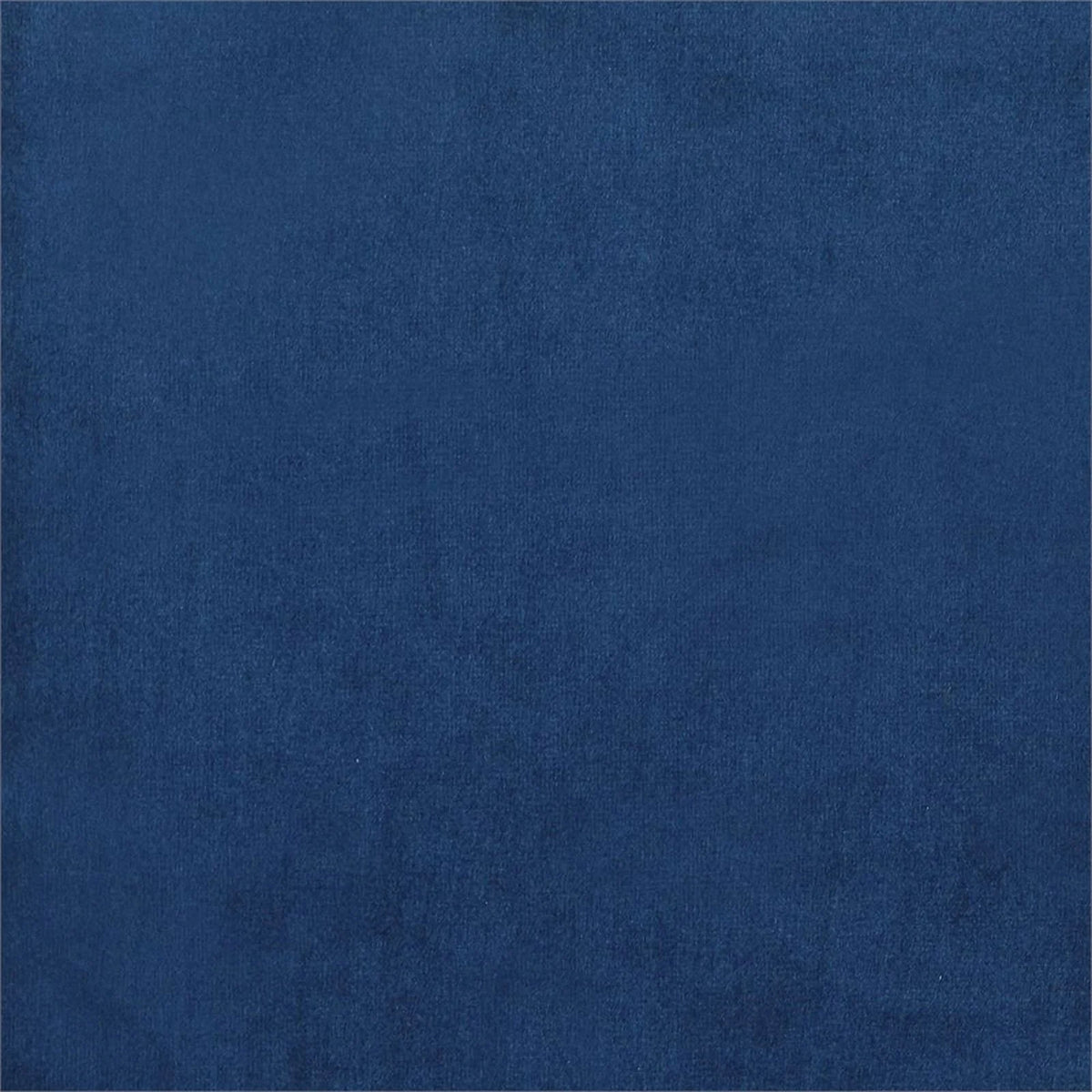 Blue Velvet Upholstered Tufted Chair W99963