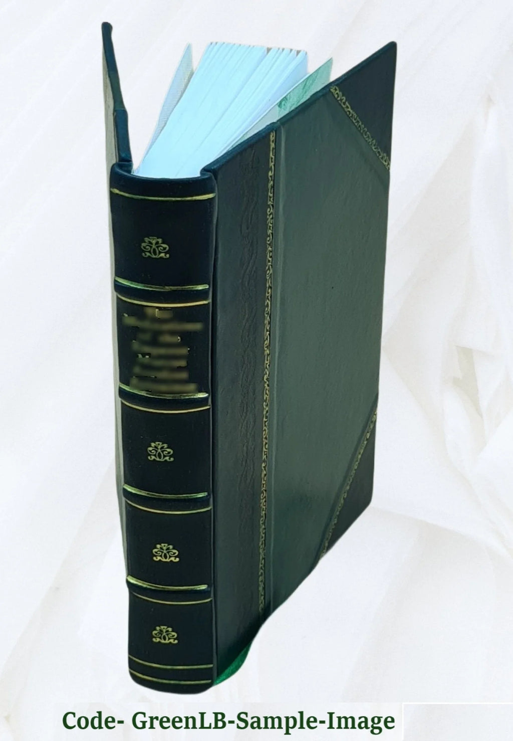 Germany, the next republic? By Carl W. Ackerman. 1917 [Leather Bound] P4210