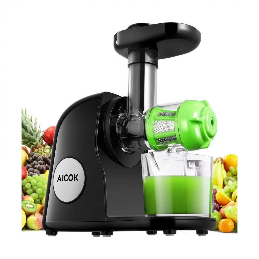 Cold Press Masticating Juicer I904