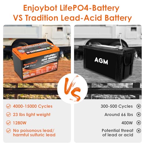 12V 100Ah LiFePO4 Lithium Battery with 100A BMS, Low Temp Cut Off Deep Cycle Battery Q54196
