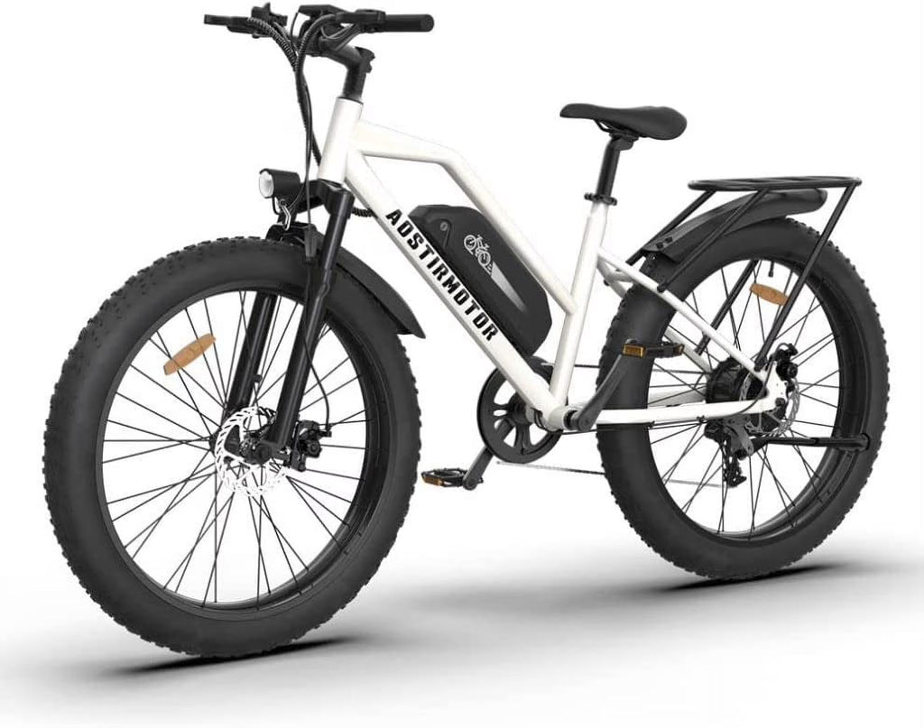 750W Electric Bike with Removable 48V 13Ah Li-Ion Battery L140525