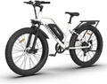 750W Electric Bike with Removable 48V 13Ah Li-Ion Battery L140525