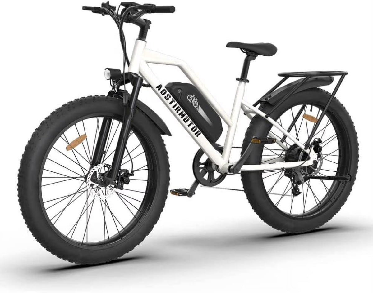750W Electric Bike with Removable 48V 13Ah Li-Ion Battery L140525