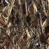 Grassland Camo Exact Fit Seat Covers B91630
