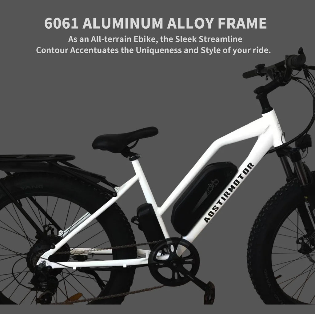 750W Electric Bike with Removable 48V 13Ah Li-Ion Battery L140525