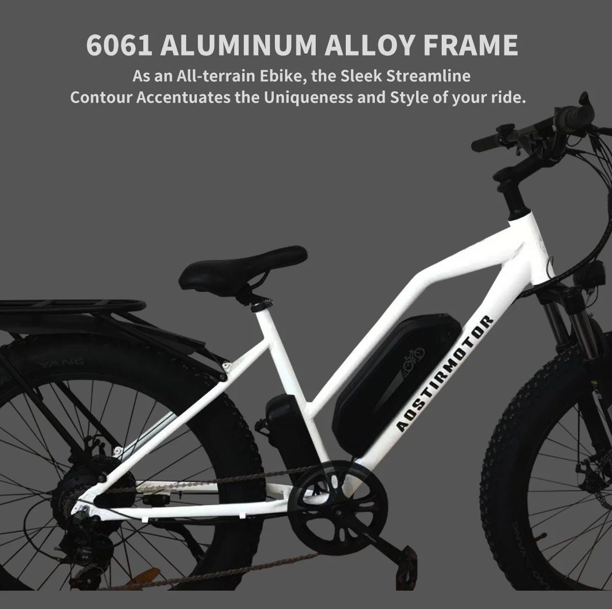 750W Electric Bike with Removable 48V 13Ah Li-Ion Battery L140525