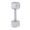 20 lb Cast Iron Hex Dumbbell G91243
