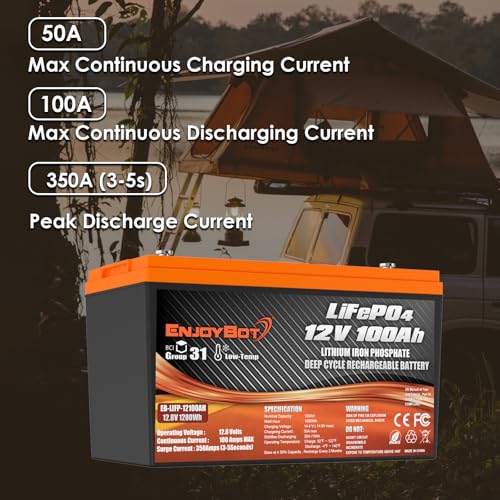 12V 100Ah LiFePO4 Lithium Battery with 100A BMS, Low Temp Cut Off Deep Cycle Battery Q54196