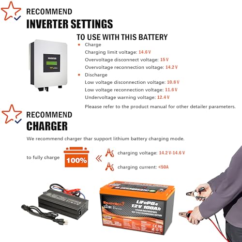 12V 100Ah LiFePO4 Lithium Battery with 100A BMS, Low Temp Cut Off Deep Cycle Battery Q54196