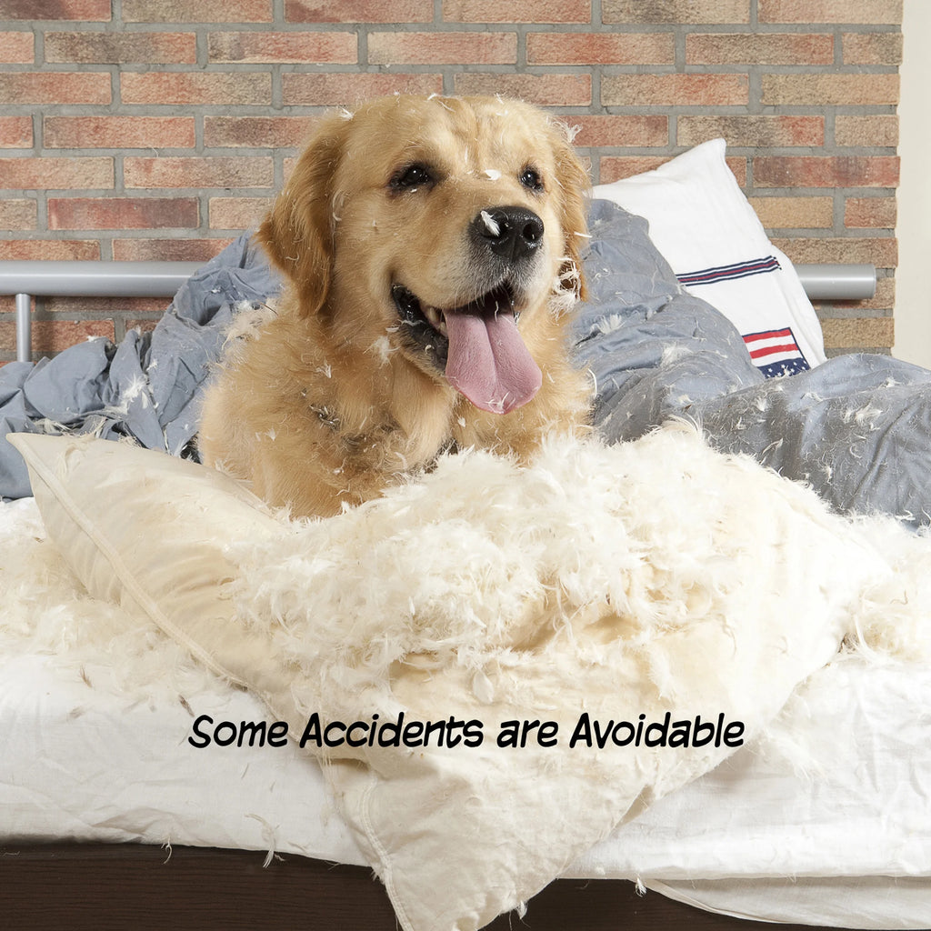 White Wooden Freestanding Folding Accordion Style Dog Gate B741