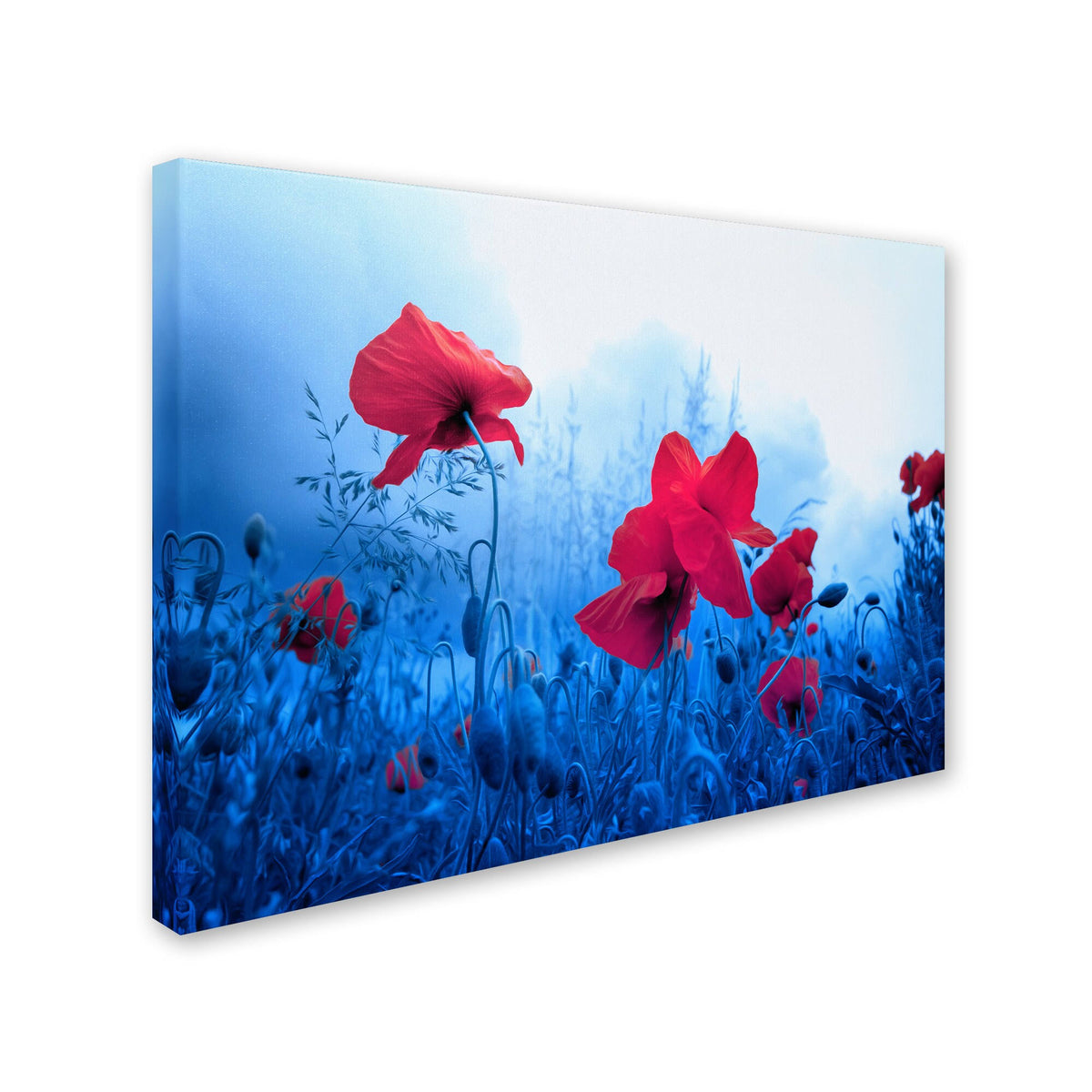 Canvas Art X261