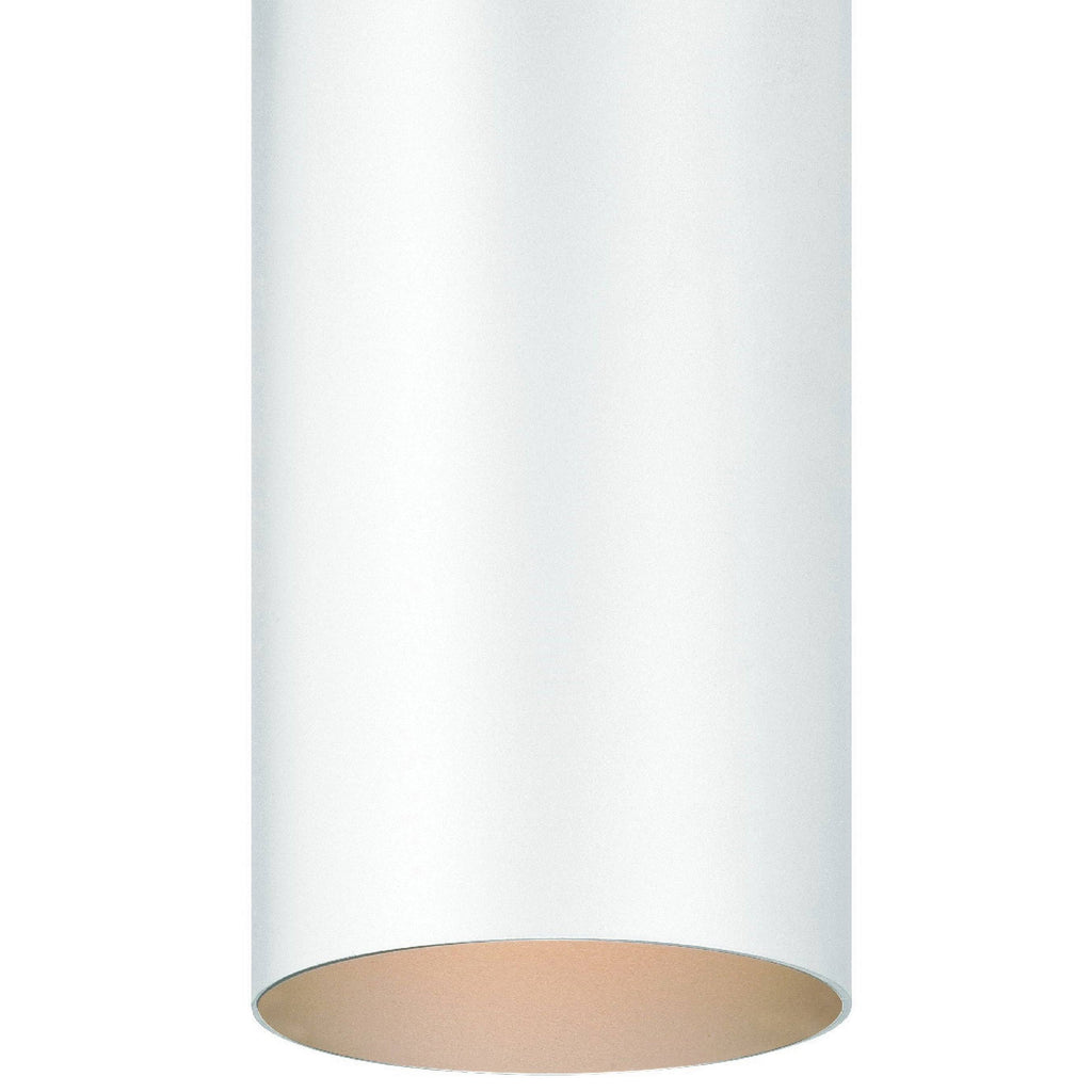 White Flush Mount Ceiling Fixture F895