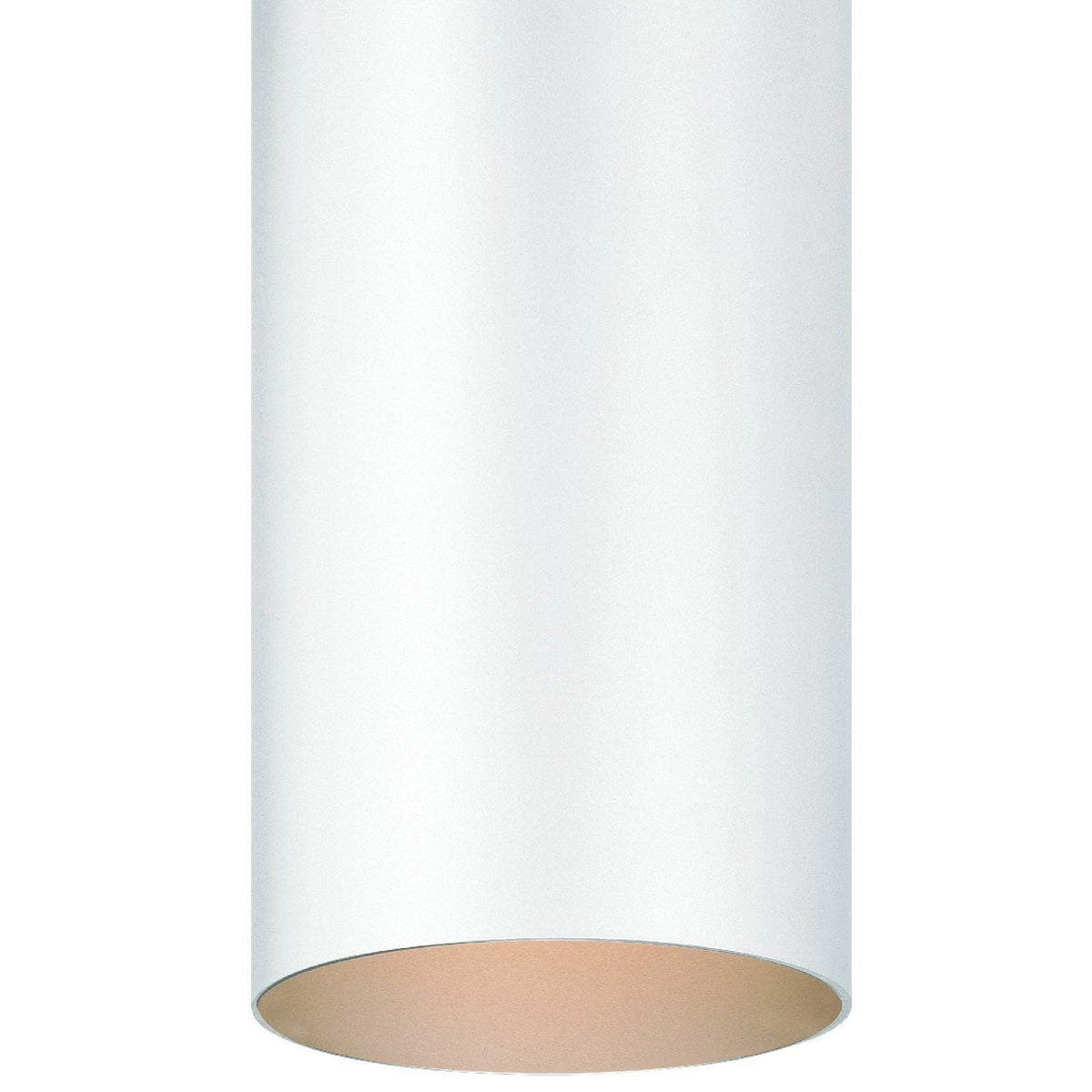 White Flush Mount Ceiling Fixture F895