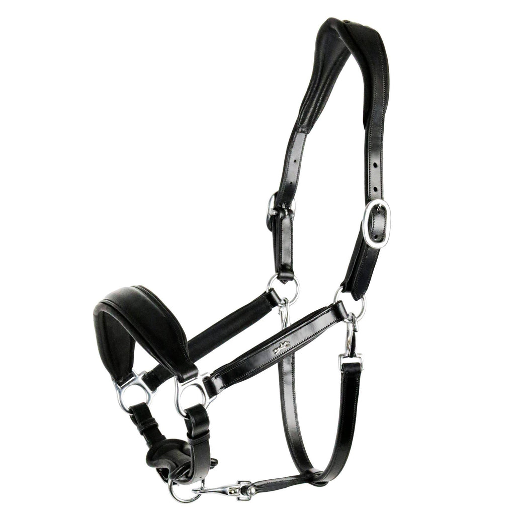 Anatomical Leather Halter Q45466