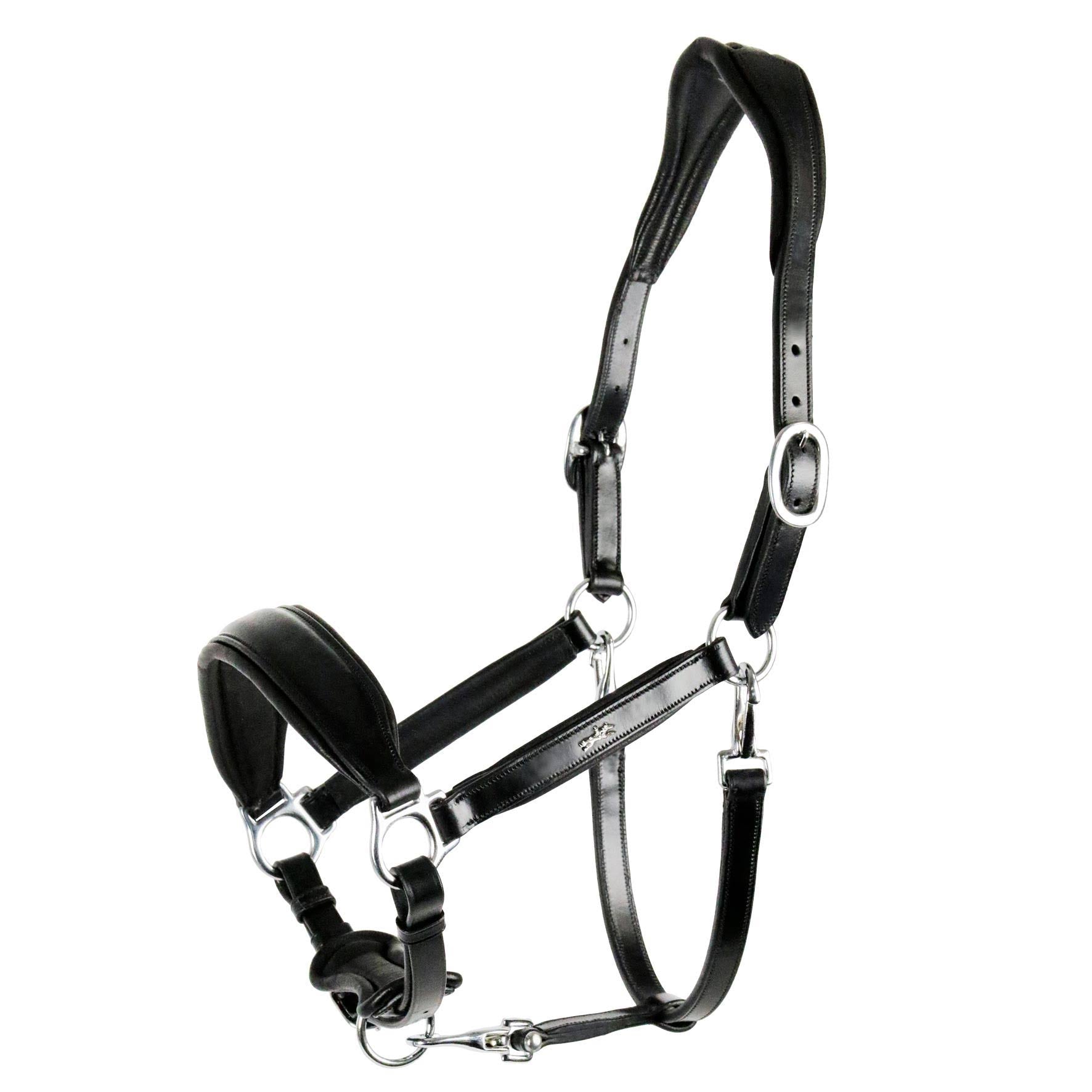 Anatomical Leather Halter Q45466