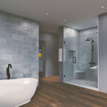 Matte Black Frameless Hinged Shower Door E22119