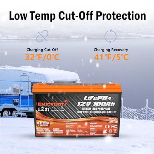 12V 100Ah LiFePO4 Lithium Battery with 100A BMS, Low Temp Cut Off Deep Cycle Battery Q54196