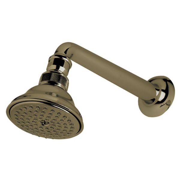 Tuscan Brass Shower Arm/Showerhead S48509