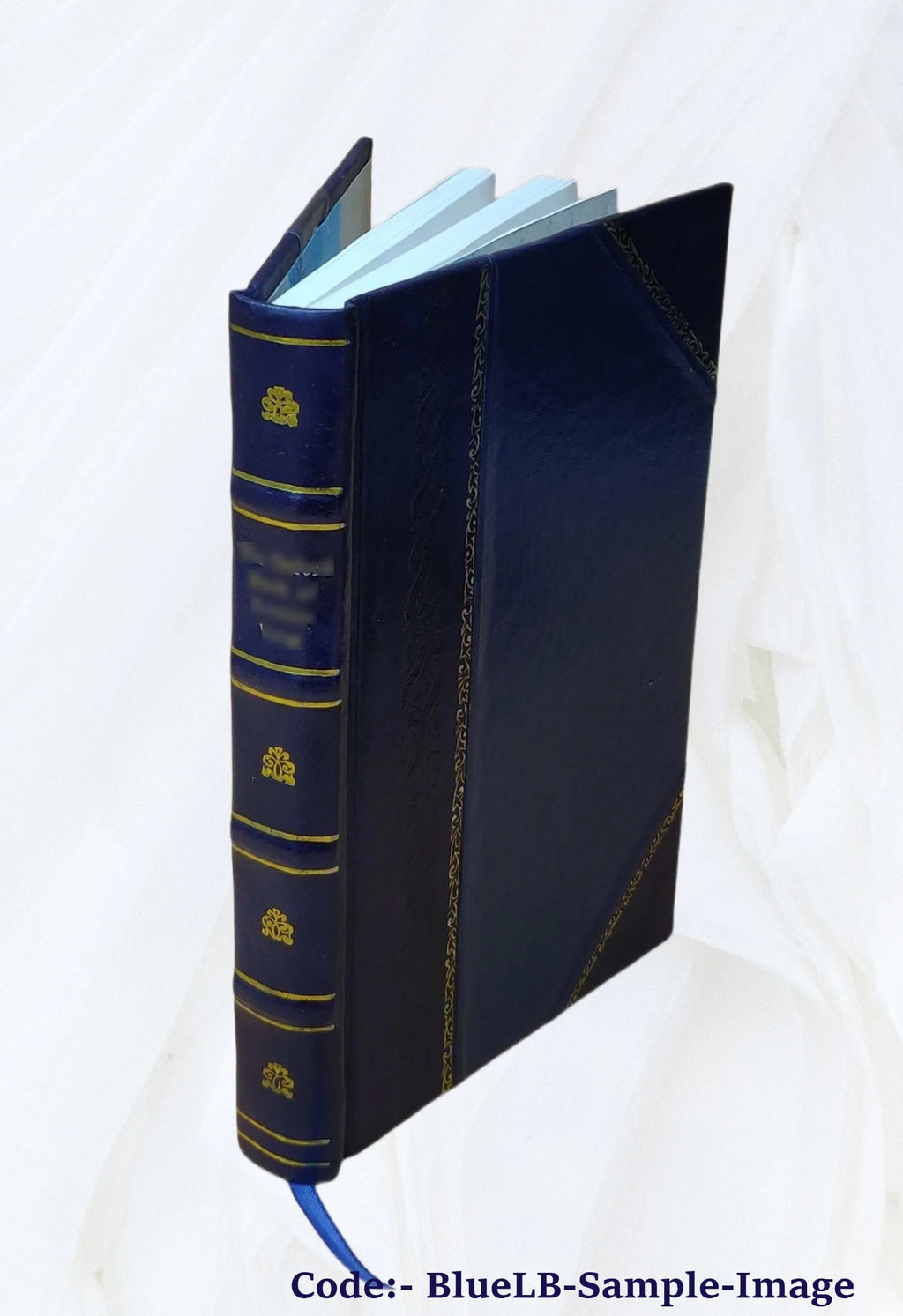 Leather Bound Book O119
