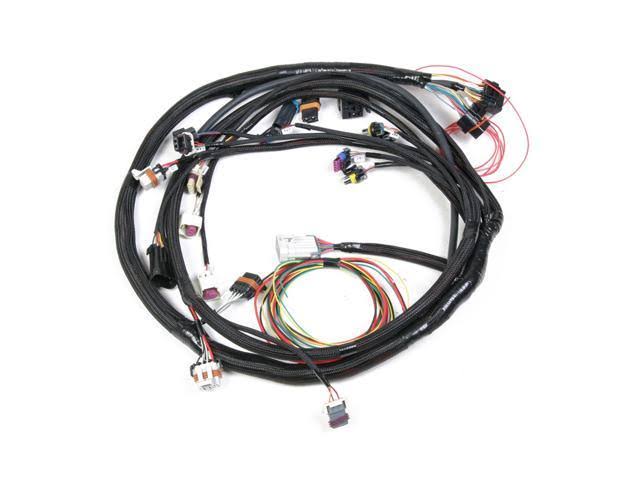 LS1 Main Harness G86361