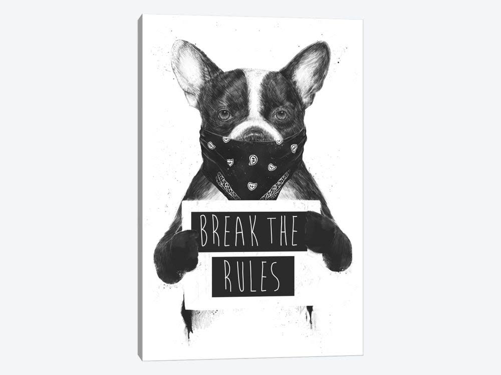 Rebel Dog Print on Canvas Art G47057