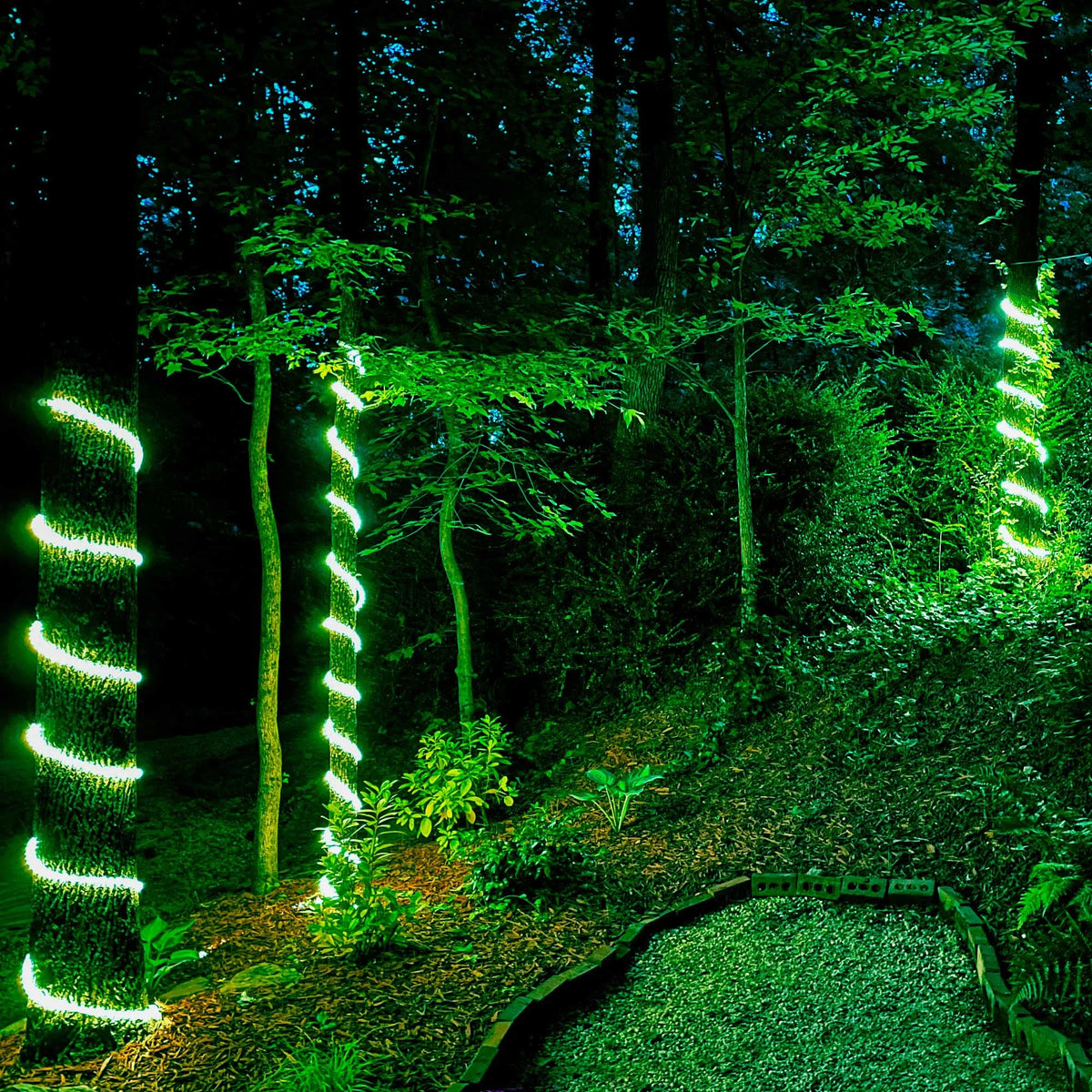 LED Green Rope Light Kit, 216 Lights, Connectable, Mounting Clips Included X694