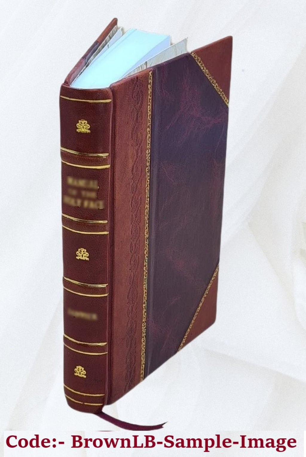 Leather Bound Book O119