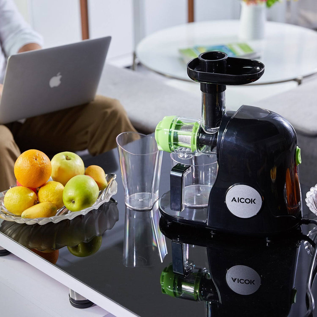Cold Press Masticating Juicer I904