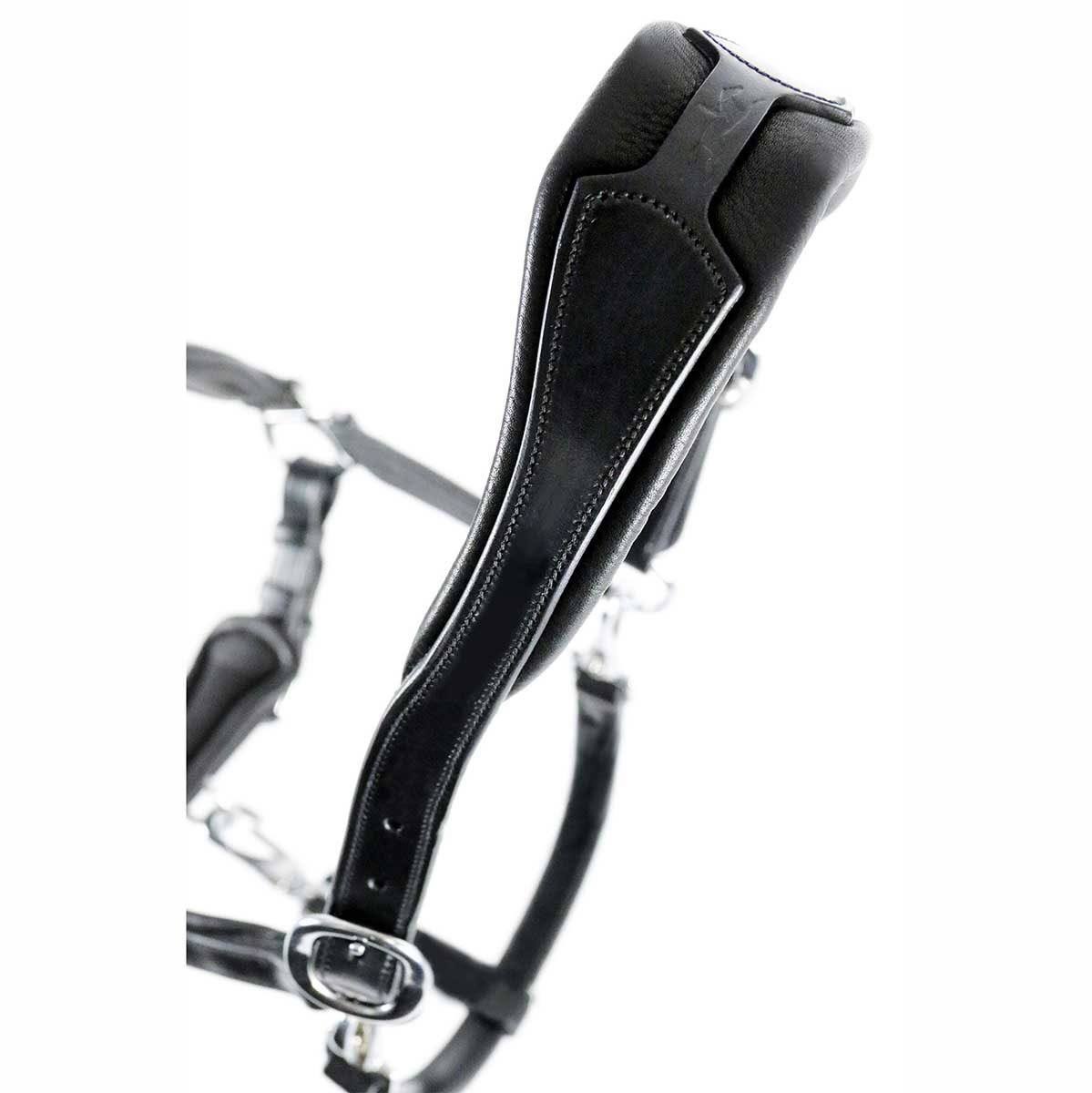 Anatomical Leather Halter Q45466