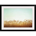 Photographic Print Black Frame 28x22 H x 38x22 W x 1x22 D F235313