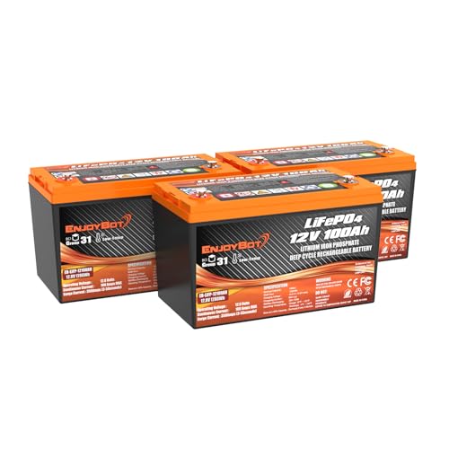 12V 100Ah LiFePO4 Lithium Battery with 100A BMS, Low Temp Cut Off Deep Cycle Battery Q54196