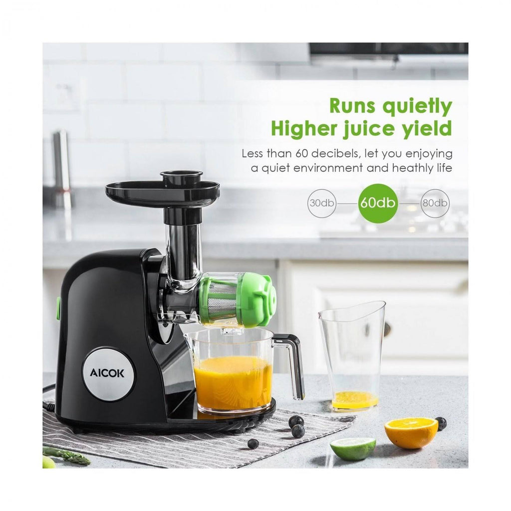 Cold Press Masticating Juicer I904