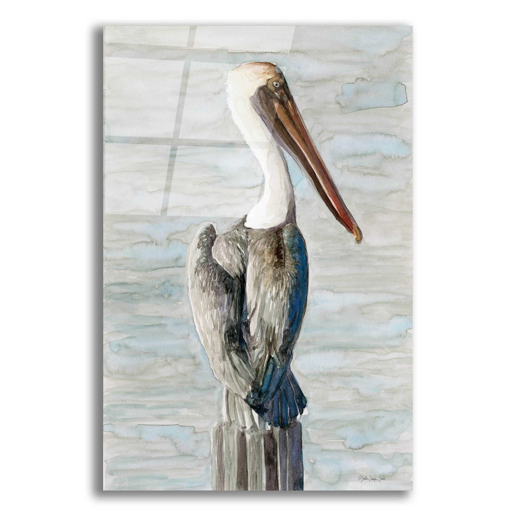 Brown Pelican Acrylic Glass Wall Art, 12"x16" F3325