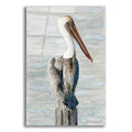 Brown Pelican Acrylic Glass Wall Art, 12"x16" F3325