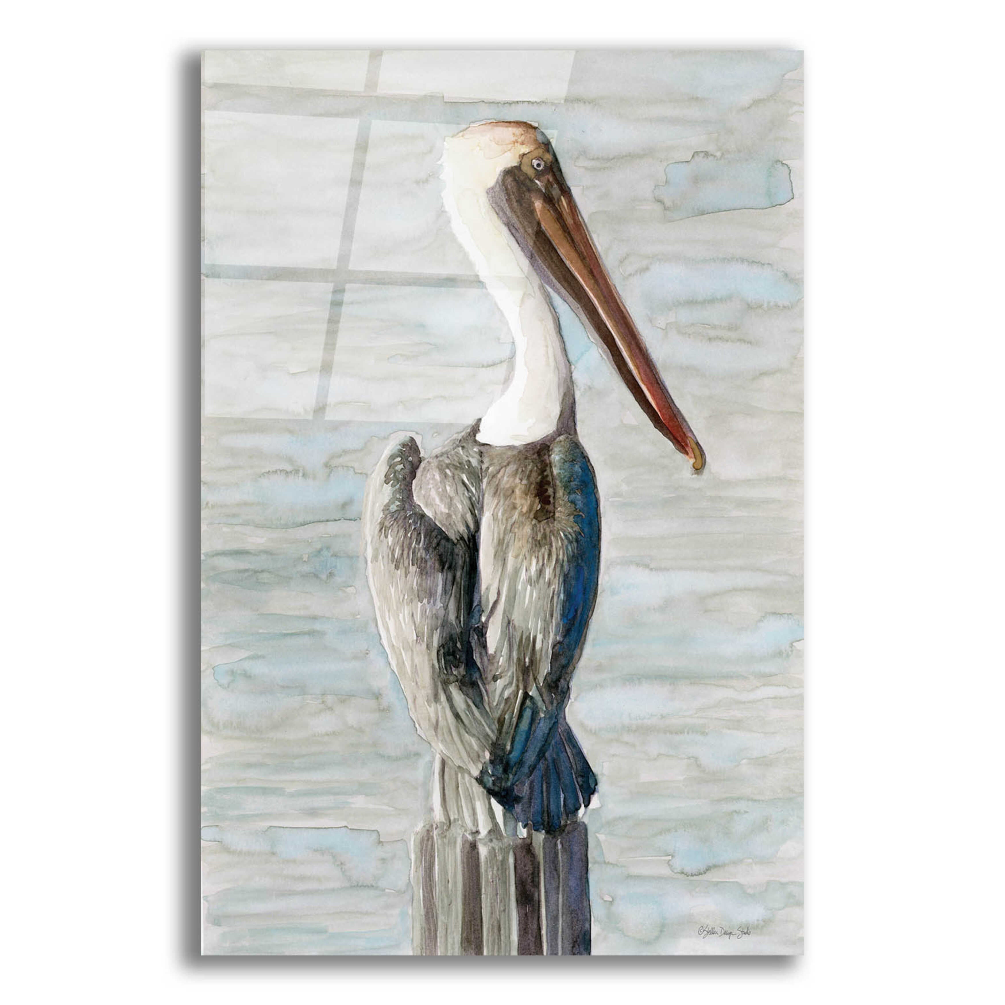 Brown Pelican Acrylic Glass Wall Art, 12"x16" F3325
