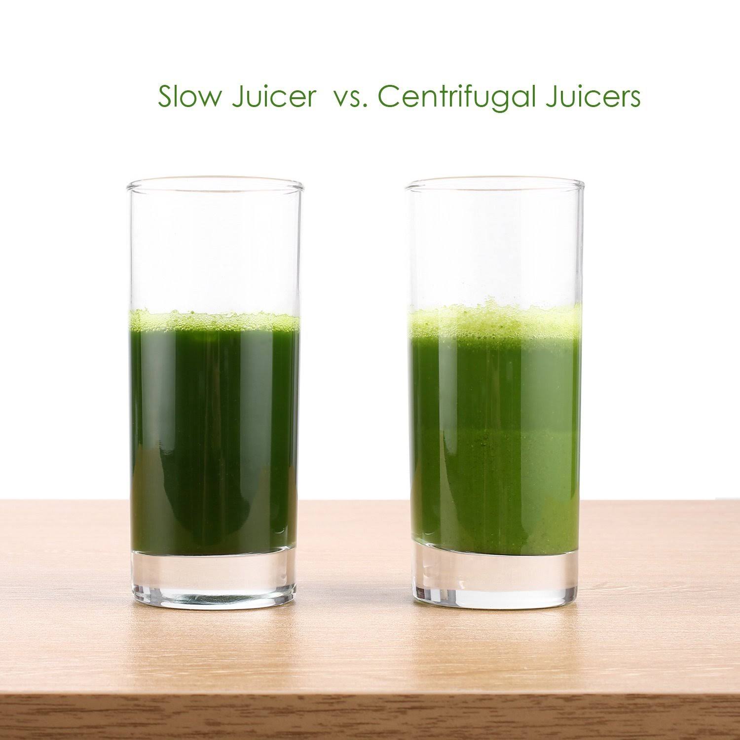 Cold Press Masticating Juicer I904