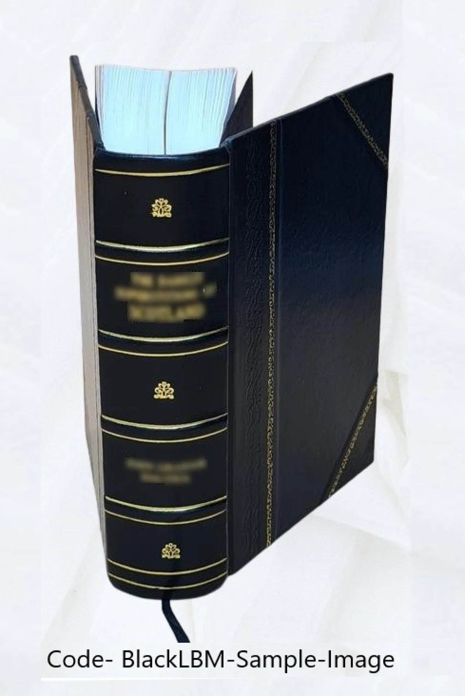 Leather Bound Book B7733