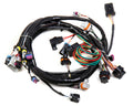 LS1 Main Harness G86361