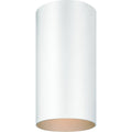 White Flush Mount Ceiling Fixture F895