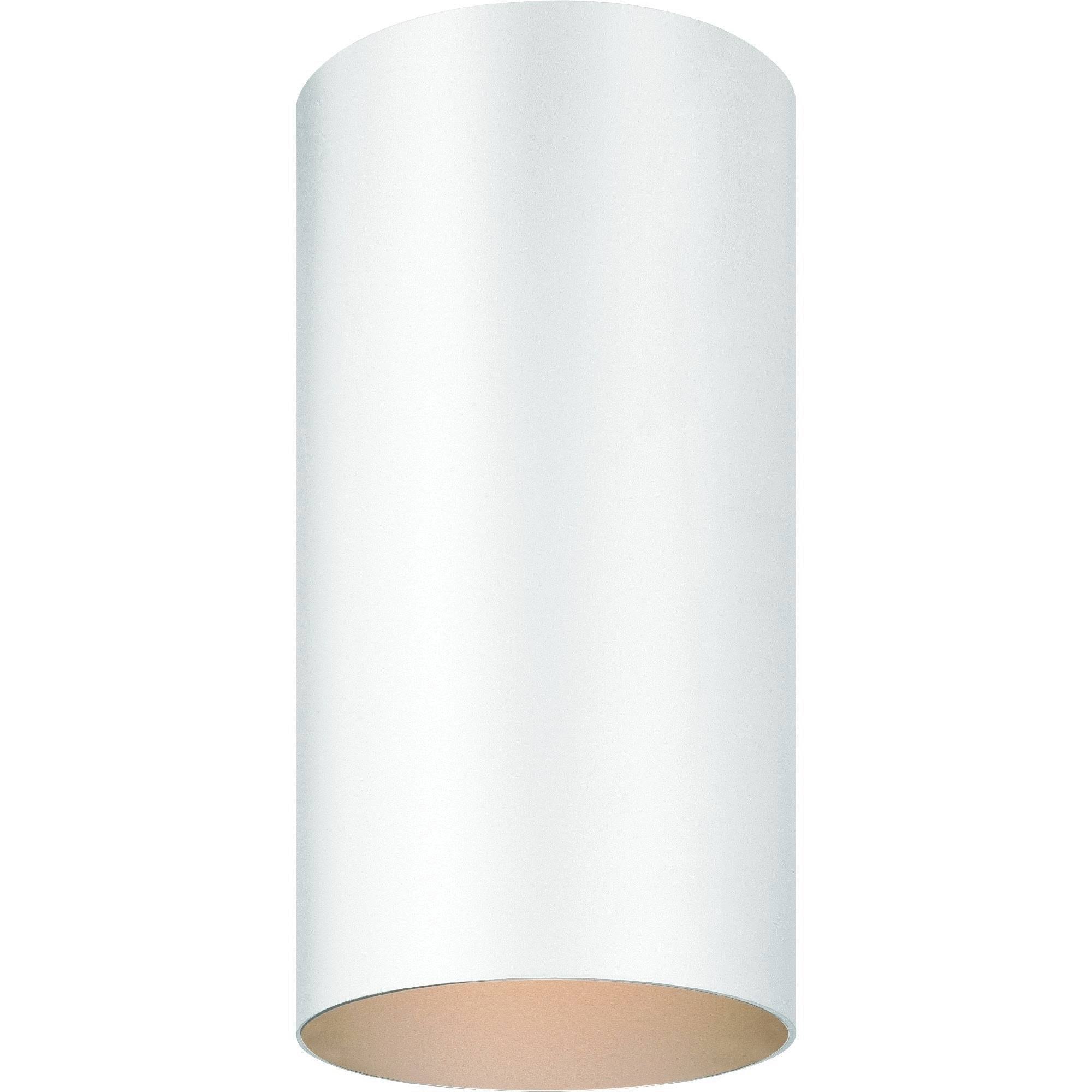White Flush Mount Ceiling Fixture F895