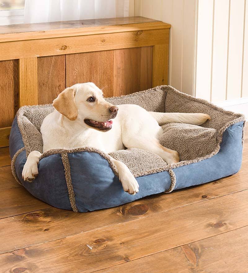 Olive Rectangle Comfy Cup Pet Bed D928789