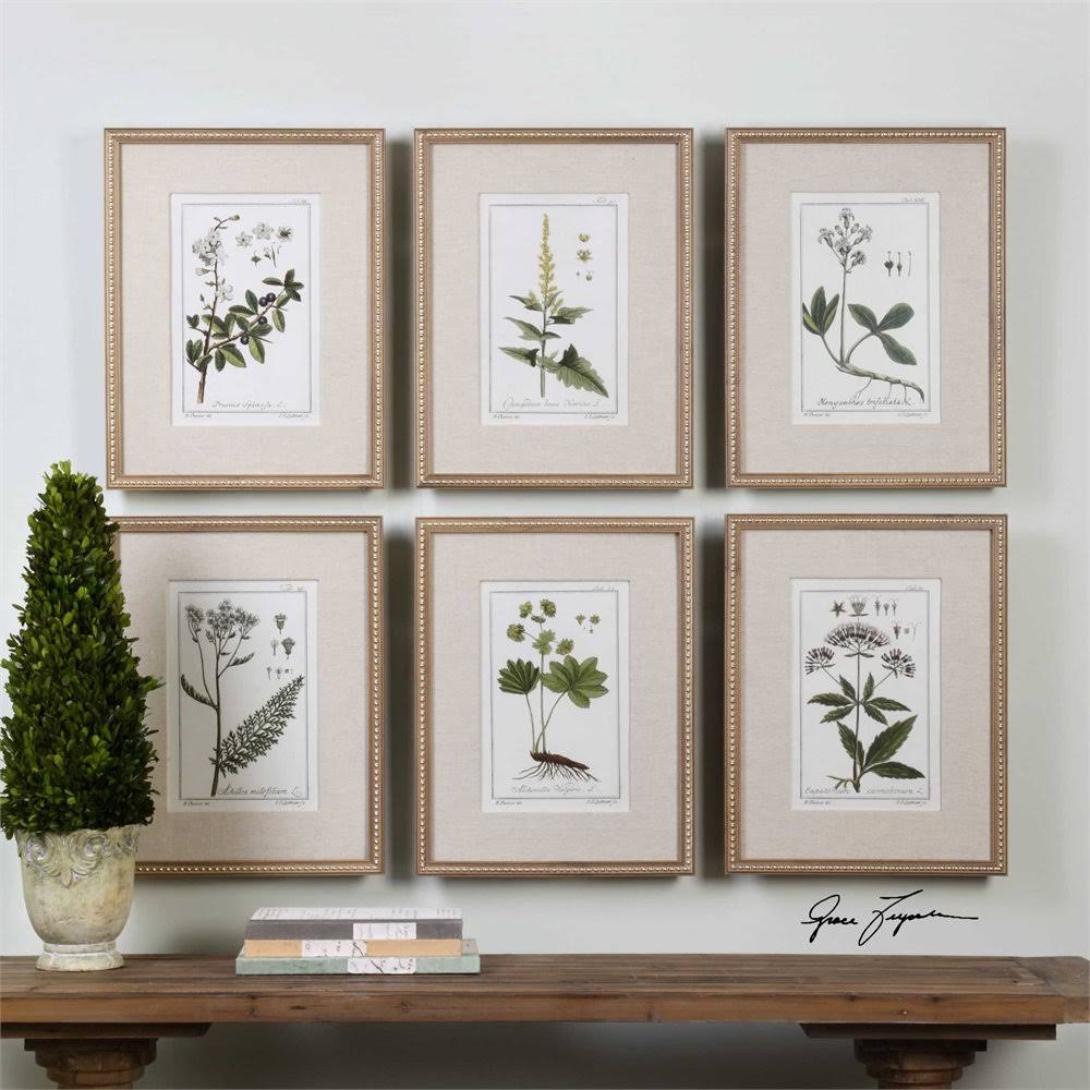 Green Floral Botanical Study Prints S/6 U319