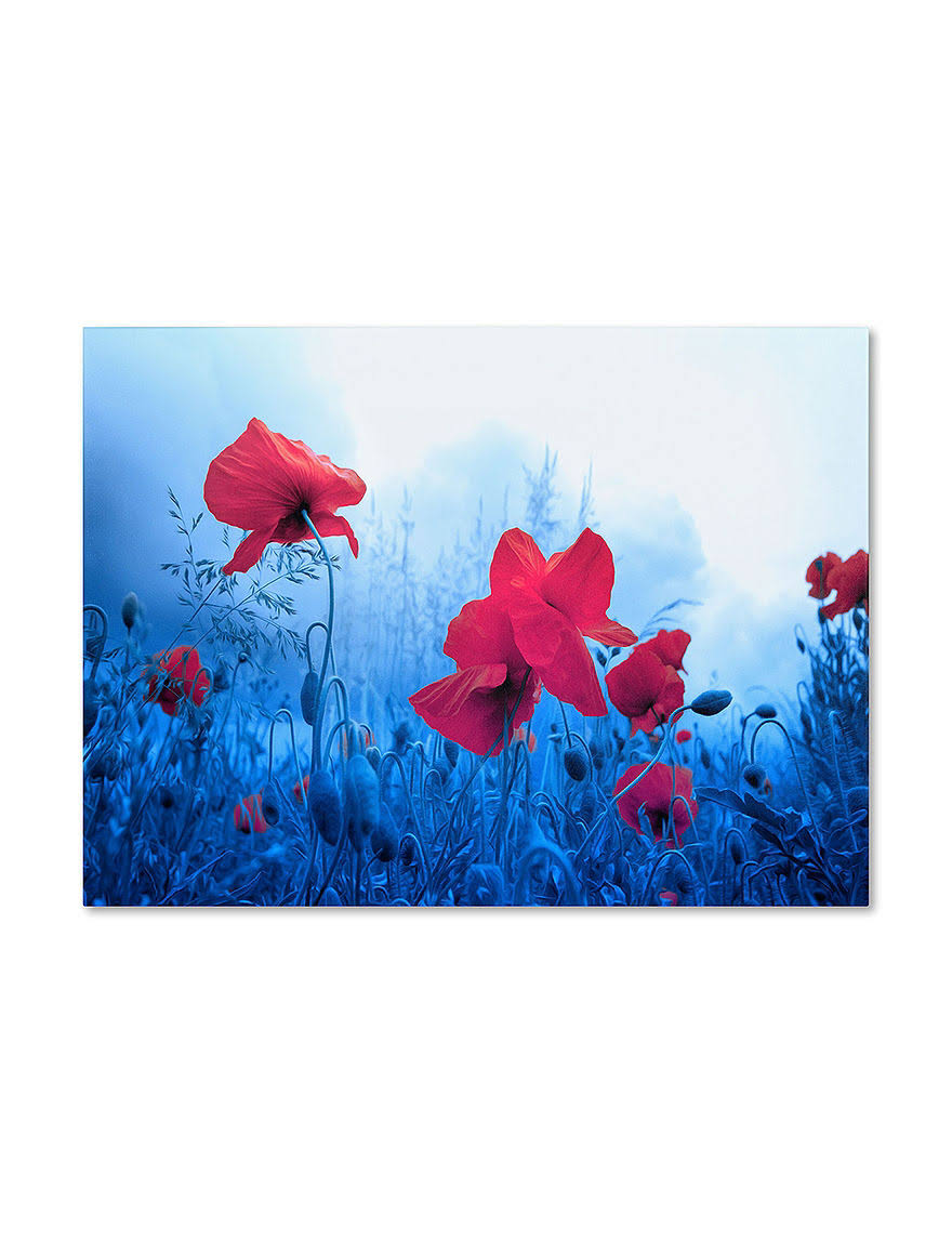 Canvas Art X261