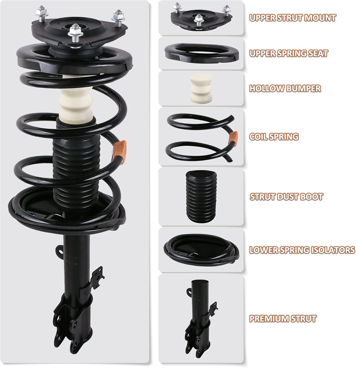 Front Complete Strut Assemblies (Set of 2) T941424