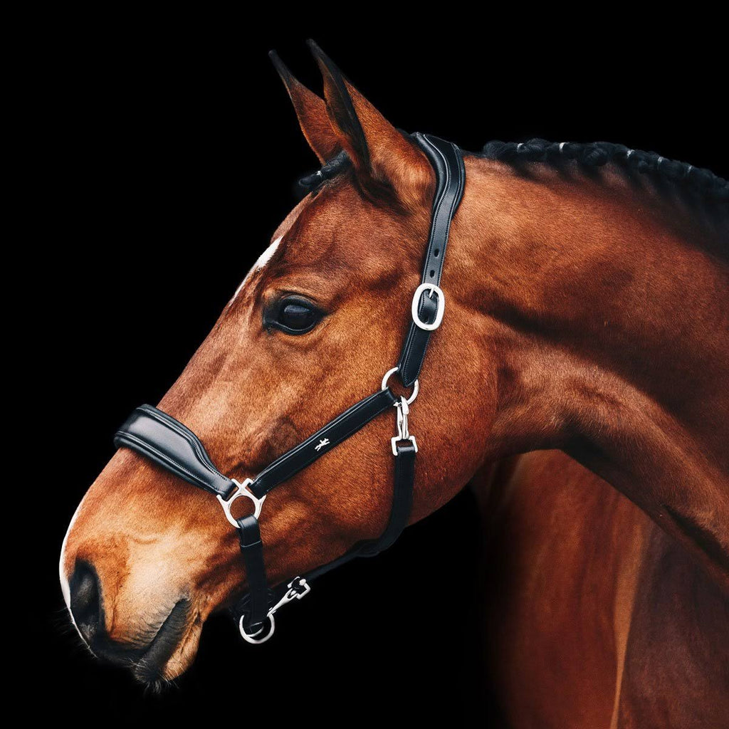 Anatomical Leather Halter Q45466